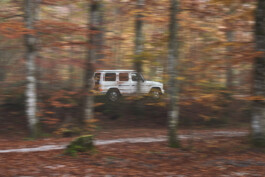 Oliver Sold Fotografie