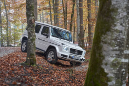 Oliver Sold Fotografie