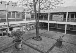 Oliver Sold Fotografie