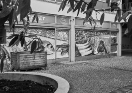 Oliver Sold Fotografie