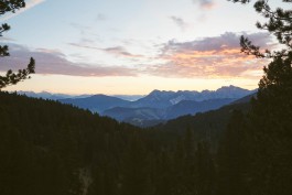 Oliver Sold Fotografie