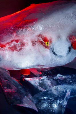 Oliver Sold Fotografie