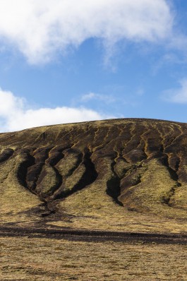 Oliver Sold Fotografie