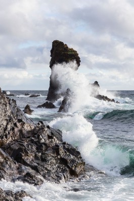 Oliver Sold Fotografie