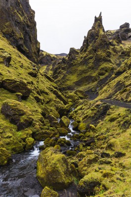 Oliver Sold Fotografie