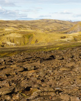 Oliver Sold Fotografie