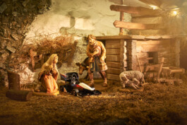 Oliver Sold Fotografie