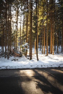 Oliver Sold Fotografie