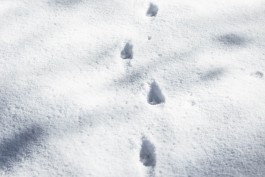 Oliver Sold Fotografie