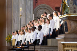 Pueri Cantores Festival 2025