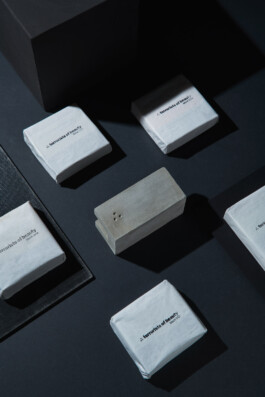 Terrorists of Beauty ©Oliver Sold