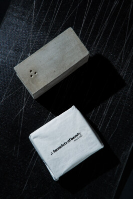 Terrorists of Beauty ©Oliver Sold