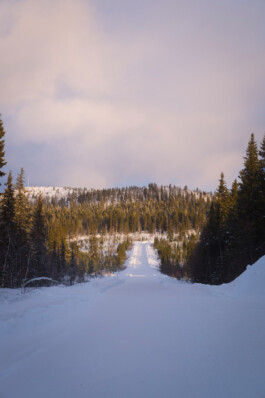 Oliver Sold Fotografie