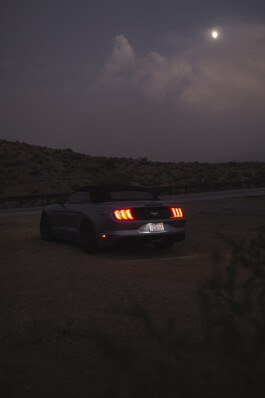 Oliver Sold Fotografie