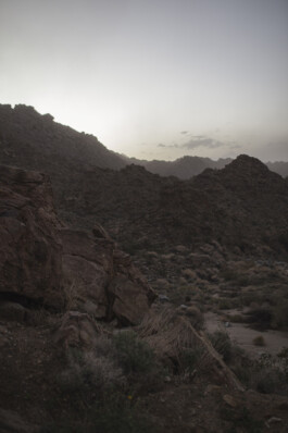 Oliver Sold Fotografie