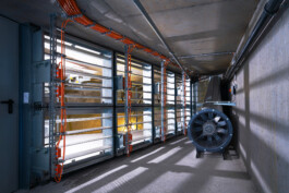 Oliver Sold Fotografie