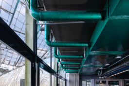 Oliver Sold Fotografie