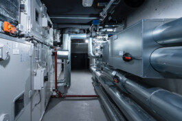 Oliver Sold Fotografie